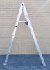 12ft Extension Ladder / 6ft Painters Ladder . - 3