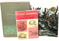 3 Vintage Books on Animals | Animal Ancestors, Marvels & Mysteries of Our Animal World, Caribou and the Barren Lands