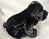 New Webkinz hm136 "Black Lab" With Sealed Code - Retired. - 2