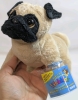 New [Retired] Ganz WEBKINZ Plush Pug (HM105) with Sealed Secret Code | 6" Tall - 3