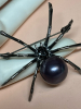 Spider Brooch rhinestones Large Black Faux Pearl Body - 5