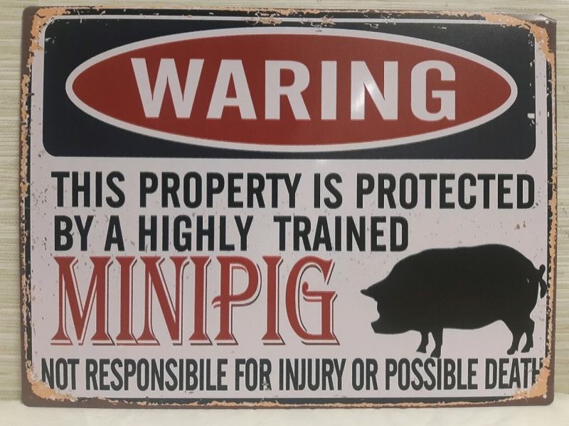 New | " Warning This Property Is Protected By A Highly Trained Minipig" Metal Hanging Wall Sign ( 16" x 12" )