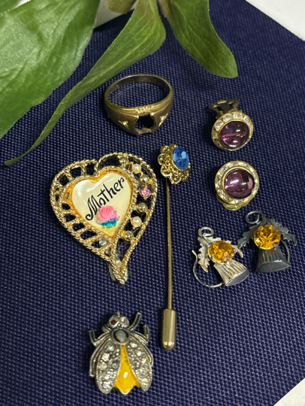 Eclectic Jewelry Lot Brooch Thistle Charm Antique Bug