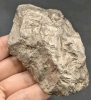 Substantial Chunk of Natural Local Iron Pyrite | Sourced Locally in Niagara | 4" x 2.25" / 482.2g - 3