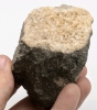 Great Chunk of Natural Raw Local Druzy Dolomite | Sourced Locally in Niagara | 2.5" x 2.15" x 3" / 230.4g - 6