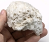 Absolutely Gorgeous Large Natural Raw Local Elestial White Danburite w Pyrite Sprinkles & Quartz | Sourced Locally in Niagara | Approx 2.25" x 1.75" x 3.5" / 374.6g - 6