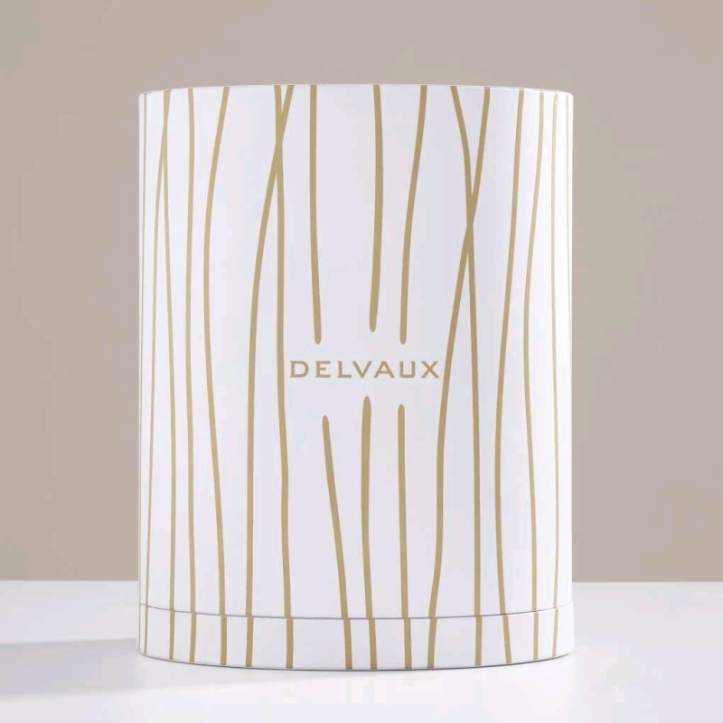 New Delvaux Packaging Box