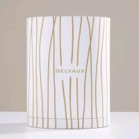 New Delvaux Packaging Box
