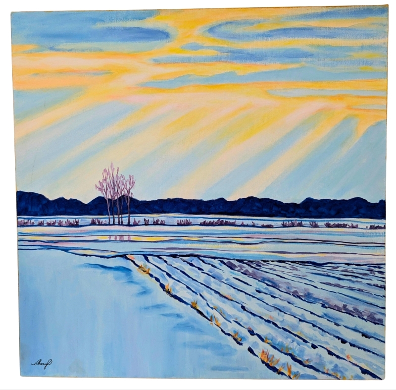 Large 24" x 24" Signed Original Acrylic Painting on Stretched Canvas "Fields in Winter" by Canadian Artist Cheryl O | Originally Retailed for $450!