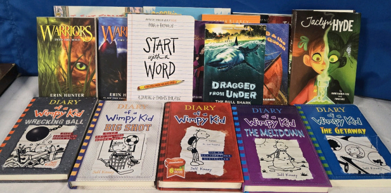 15+ Assorted Childrens Book Lot | Includes But Isn't Limited To; Diary Of A Wimpy Kid, Warriors, Dragged From Under, Start With A Word