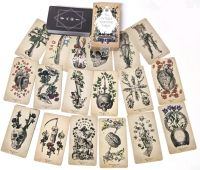 New The Antique Anatomy 78-Card Tarot Deck by Claire Goodchild | 2.5" x 4.2"