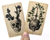 New The Antique Anatomy 78-Card Tarot Deck by Claire Goodchild | 2.5" x 4.2" - 2