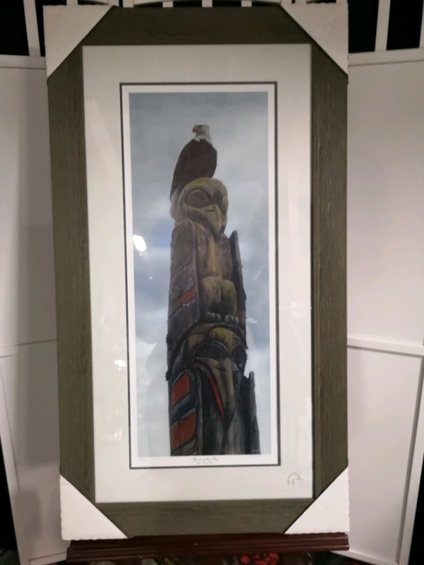 New Framed Spirits of The Sky Print by Terry Issac