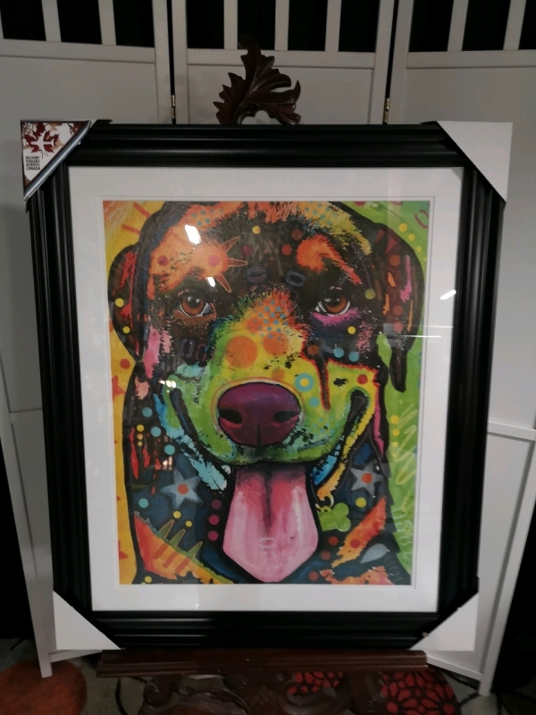 New Framed Rottie Pup Print by Dean Russo