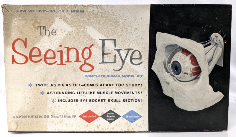 Vintage 1961 Superior Plastics THE SEEING EYE Human Model Kit | No. 1 in The 'How We Live' Series