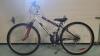 Miele Twin Track 100 - 21 Speed Mountain Bike