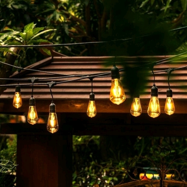 New Open Box ŌVE 48 ft. 24 oversized edison light bulbs. Black All Weather Led String Light.<br/>