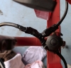 Dual Halogen Construction Light -Working - 3