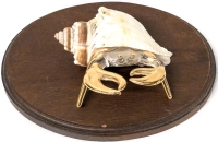 Gold Gilt Art Glass Hermit Crab w Real Shell & Wood Base (Desert of Maine, Freeport) | Base 4.5" x 6"