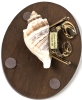 Gold Gilt Art Glass Hermit Crab w Real Shell & Wood Base (Desert of Maine, Freeport) | Base 4.5" x 6" - 6