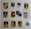 Mid 1980s WWF Wrestling Mini Trading Cards . 13 Trading Cards