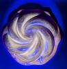 Brilliant Unsigned Fenton CADMIUM Ruby Red Glass Rose Ashtray | 8.15" Diameter x 2.2" Tall - 6