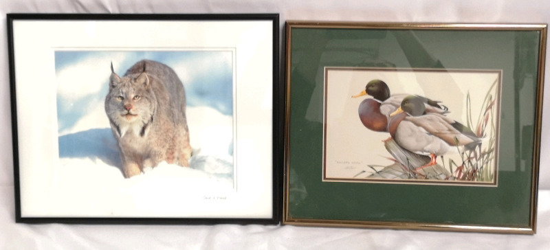 Framed Linx Photo Signed + Mallard Magic Print by Art Lamay