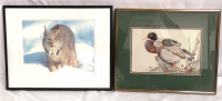 Framed Linx Photo Signed + Mallard Magic Print by Art Lamay