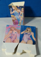 20 New 3x5" Taylor Swift Popcorn Buckets