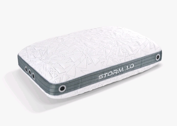 New Bedgear Storm Performance Pillow. Personal Size (20" by 26") Size 1.0. Retails for $199 US.