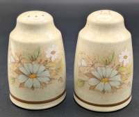 Vintage 1977 Royal Doulton Lambethware Florinda Salt & Pepper Shakers | 3.25" Tall