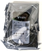 New Seagate EXOS 7E10 2TB Internal Hard Drive ST2000NM001B - SAS (12Gb/s SAS) | Retails for Over $150! - 2