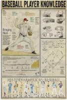 New Baseball Player Knowledge Metal Tin Sign 12" x 16"