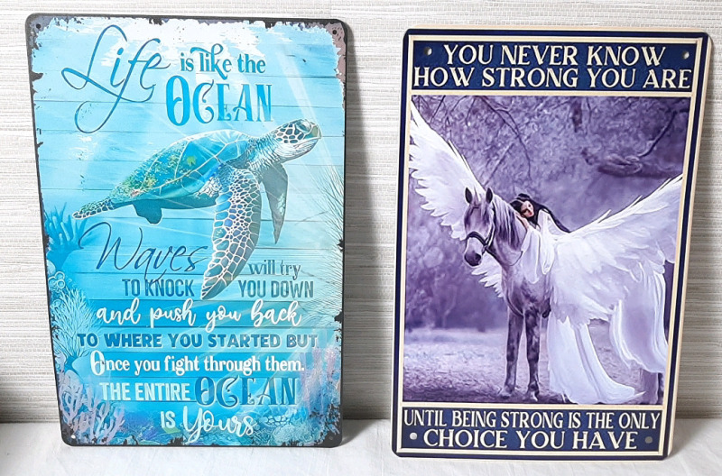 2 Motivational Metal Signs - 12"X8"