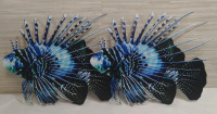 2 New Fish Metal Tin Wall Art 10"