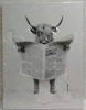 New 12x16" Ox Print Picture