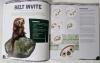 New 24 Copies Of The Ultimate DreamWorks Party Book - 4