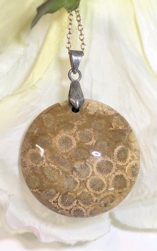 Fantastic Fossilized Coral Necklace on 925 Sterling Silver Chain | 16" Long