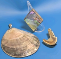 Shell Shock & Rock! Size 7 Sterling Silver 925 Bezel Set Open Gallery Statement Ring, Large Statement Pendant with 925 Bale & Polished Stone J-Shaped Brooch | Pendant 2.9" x 2.8"