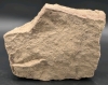 Substantial Slab of Fossilized Worm / Ichnofossil Burrows Sourced in Southern Ontario | 7.5" x 6.15" x 2.5" / Over 2kg - 3