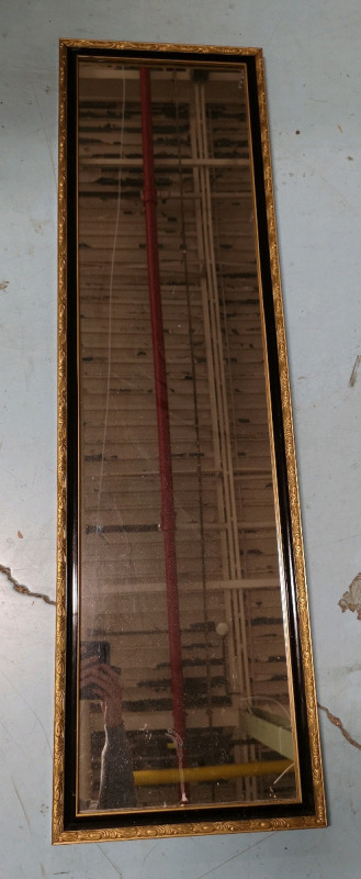 Floor Length Mirror - 50.5" Long & 14.25" Wide