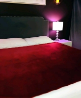 New Queen Size | PassionMate 100% Waterproof Sensual Blanket Bed Pad - Leakproof, Noiseless Ultra-Soft, Reusable, Washable (60x55 Inch, Burgundy) | Retails for Over $125!
