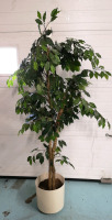 Large Faux Tree - 6ft & 2"