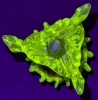 Astounding Rare Vintage URANIUM GLASS Flower Vase | 3.5" Tall - 5