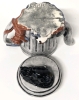 Adorable Signed Cats & Trash Can Teapot | 6.75" Tall - 8
