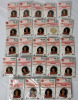 2002 Team Canada Toronto Sun Pin Collection , Complete Set of 24 .