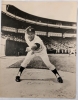 Lot Of 3 MLB Baseball Pictures - 3
