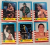 50+ TitanSports WWF Trading Cards. Duplicates Present. - 2