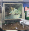 Matchbox Elvis Presley Drive-In Collection SPINOUT 1966 Shelby Cobra 427 S/C Diecast Car & Hologram Drive-In Screen - 3