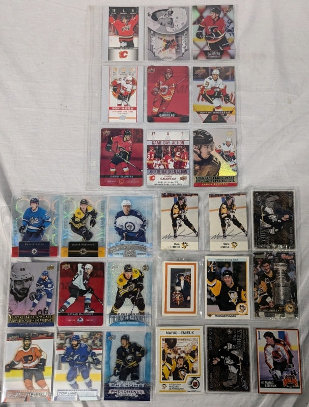 27+ 1989-2021 NHL Trading Cards and Stickers. Upper Deck, Panini and More.